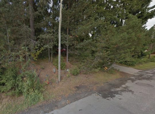 liikaa puita pihassa